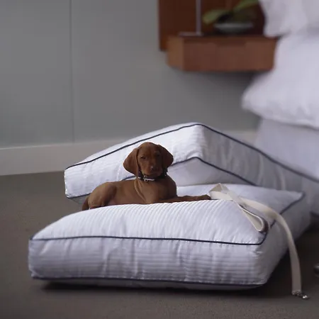 酒店 The Westin Palace, 5*