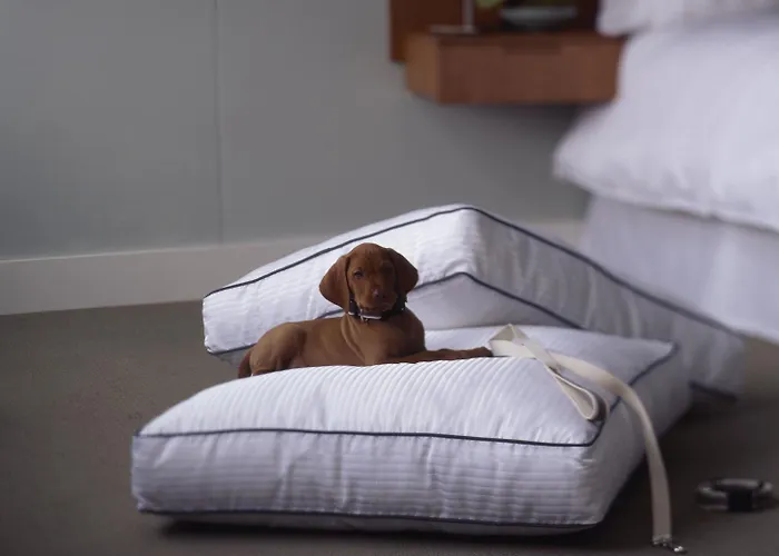 Otel The Westin Palace, 5*